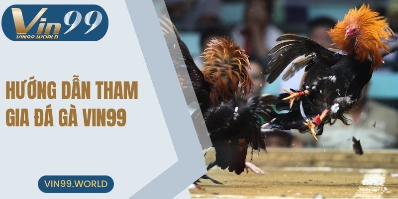 Từng bước đơn giản tham gia cá cược dễ dàng