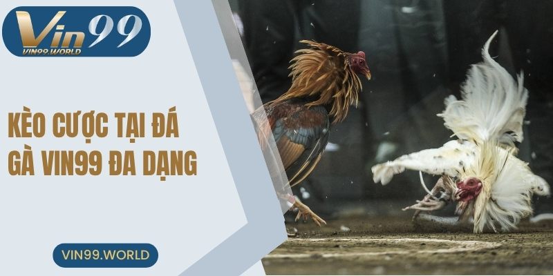 Các loại hình kèo cược đa dạng nhất