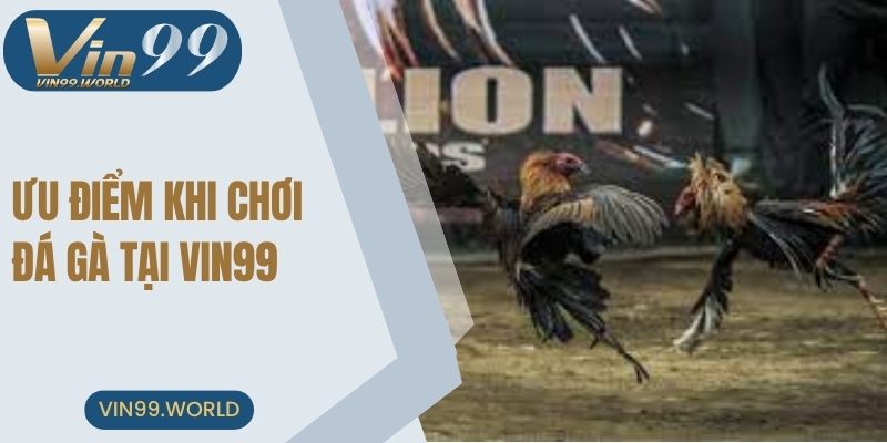 Những điểm hấp dẫn nhất chỉ có tại cổng game