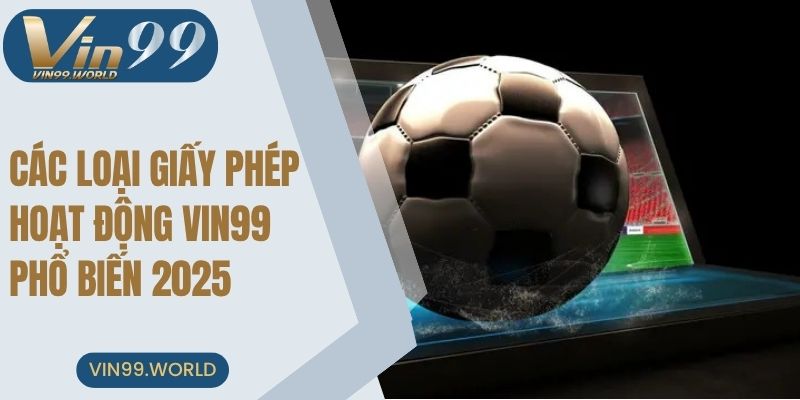 Top các loại giấy phép hoạt động VIN99 phổ biến 2025