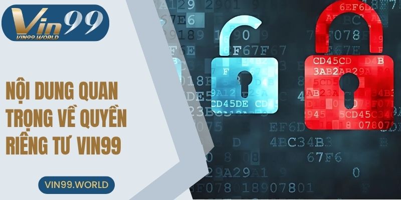 Nội dung quan trọng về quyền riêng tư tại VIN99