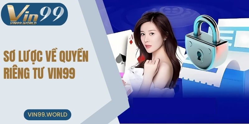 Sơ lược về quyền riêng tư VIN99
